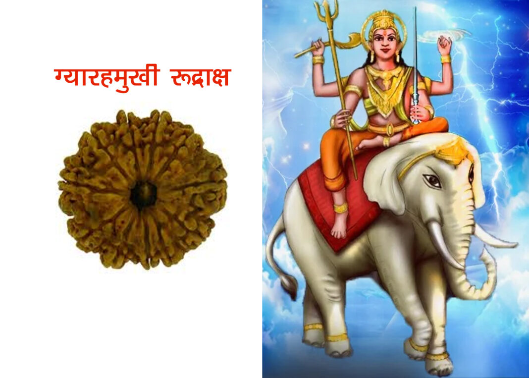 ग्‍यारहमुखी रूद्राक्ष धारण करने से ऐश्‍वर्य, यश की होती है प्राप्‍त‍ि|theconnect24