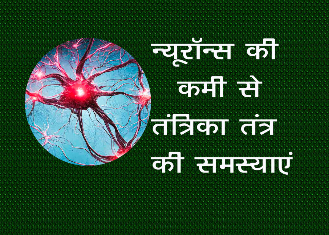 ज्ञानात्मक क्षमता पर Neurons की कमी का प्रभाव|The connect 24