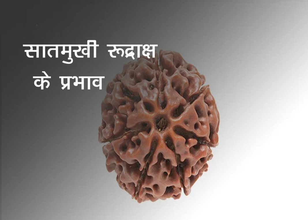 सातमुखी रूद्राक्ष के सातों मुख में निवास करते हैं सात महाबलशाली नाग।