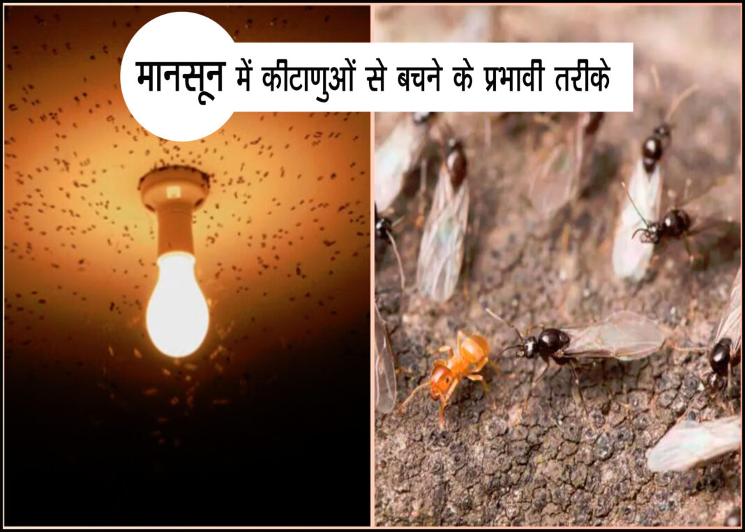 मानसून में कीटाणुओं से स्वास्थ्य सुरक्षा के उपाय|Effective ways to avoid germs during monsoon