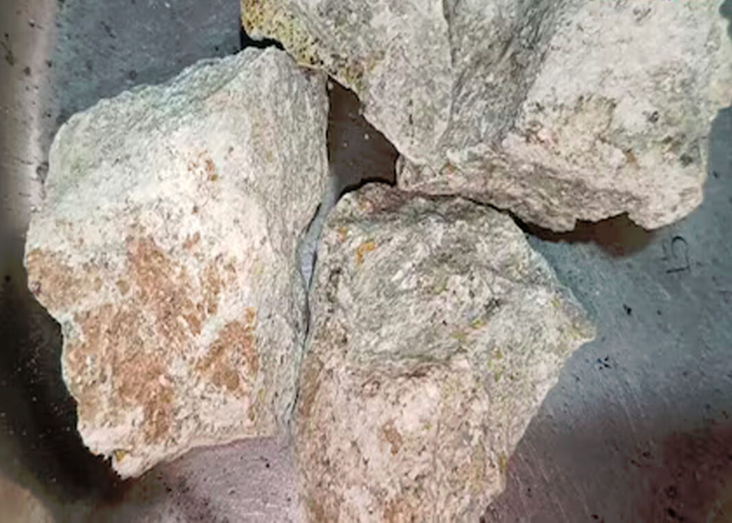 जहर मोहरा: विषहरण के लिए प्रभावी उपचार