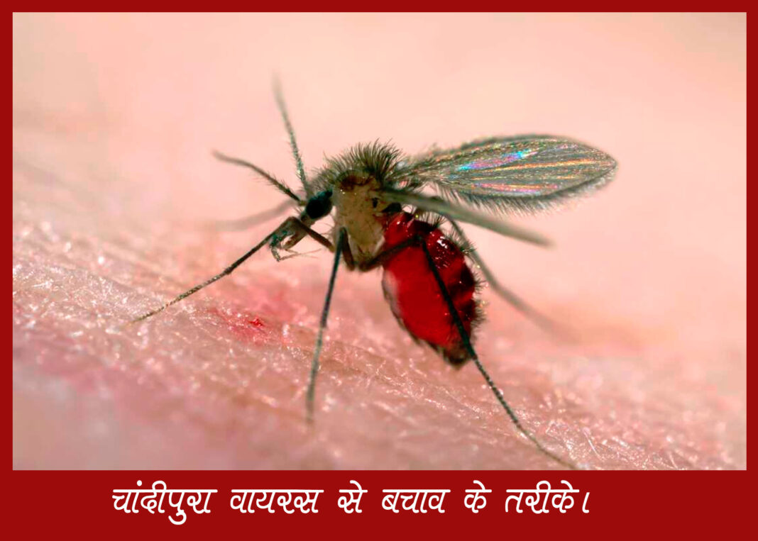 चांदीपुरा वायरस का प्रकोप: स्वास्थ्य विशेषज्ञों की सलाह।