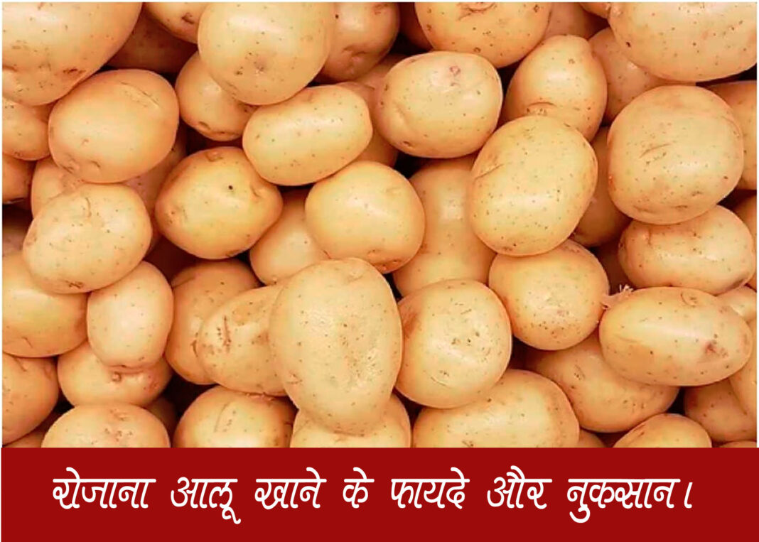 क्या रोजाना आलू खाने से बढ़ता है शुगर और मोटापा?